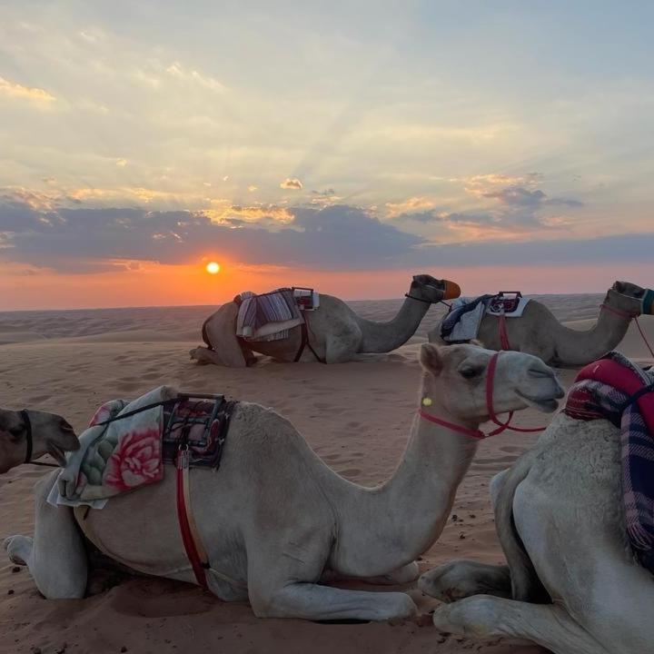Oman Desert Private Camp Shahiq Bagian luar foto