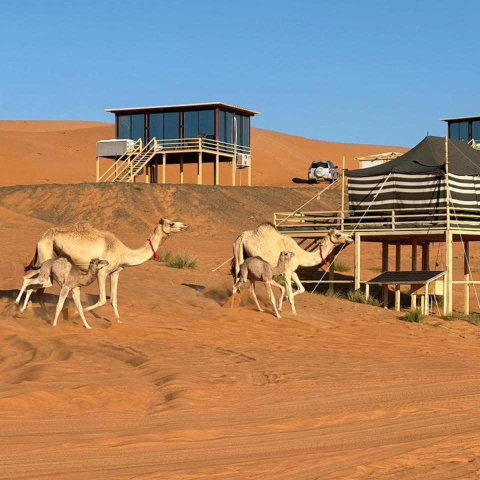 Oman Desert Private Camp Shahiq Bagian luar foto